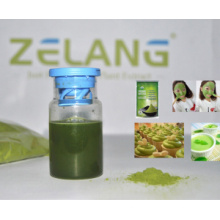 Distributeur Bulk Matcha Green Tea Powder Organic Matcha Label privé